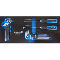 Zestaw wkrętaków kluczy HEX i TORX, wkład EVA