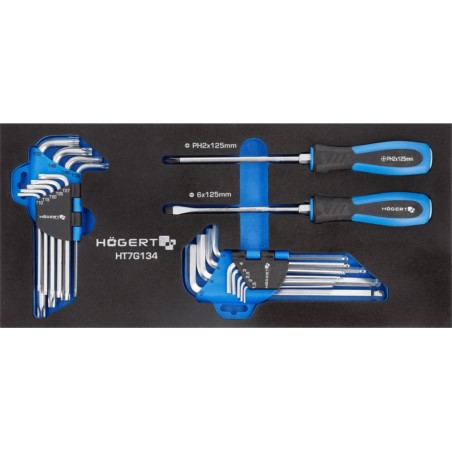 Zestaw wkrętaków kluczy HEX i TORX, wkład EVA