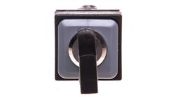 Napęd przełącznika 2 położeniowego z kluczykiem czarny bez samopowrotu Q18S1R 038805-13273
