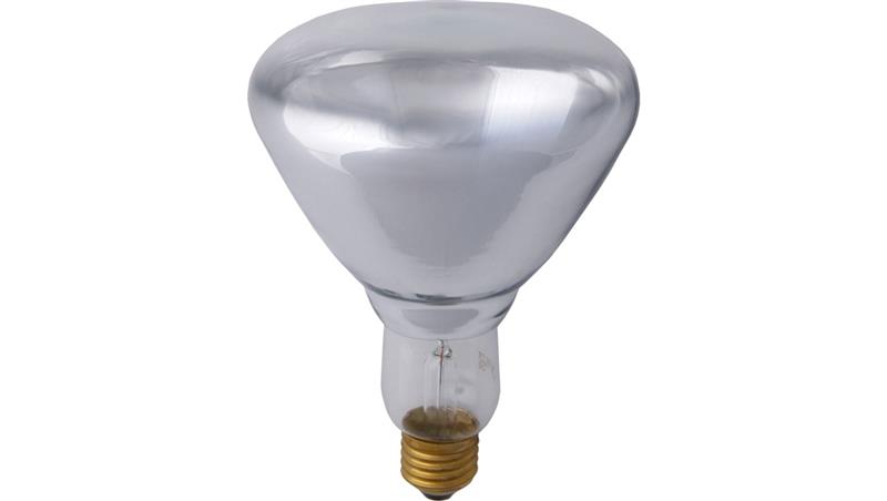 Promiennik podczerwieni IR2 230V 375W E27 R125CL 1CT/20 5000h PRO-2695-46169 Promiennik podczerwieni IR2 230V 375W E27 R125CL 1CT/20 5000h PRO-2695-46169