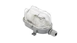 Oprawa LOFT OVAL-7063G, E27, 100W, szara-żeliwo, klosz przeźroczysty-szkło, IP54, siatka metalowa A1280-50532