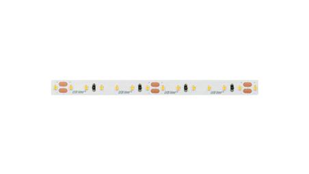Taśma LED line 600 SMD3528 24V 11000K 9,6W 5 lat gwar. 241567/5m/-58809