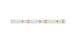 Taśma LED line 600 SMD2216 12V 4000K wąska 9,6W 5mm 5 lat gwar. 249167/5m/-58849