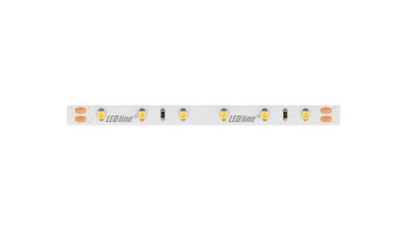Taśma LED line 300 SMD3528 24V 3000K 4,8W 5 lat gwar. 240645/5m/-58805