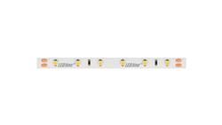 Taśma LED line 300 SMD3528 24V 4000K 4,8W 5 lat gwar. 240652/5m/-58857