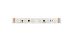 Taśma LED line 300 SMD5060 24V RGBW 19,2W 6500K 5 lat gwar. 241680/5m/-58850