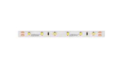 Taśma LED line 300 SMD3528 24V 6500K 4,8W 5 lat gwar. 241789/30m/-58807