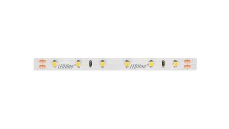 Taśma LED line 300 SMD3528 24V 6500K 4,8W 5 lat gwar. 241789/30m/-58807
