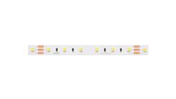 Taśma LED line 300 SMD3528 24V multikolorowa 9,6W 5 lat gwar. 241819/5m/-58854