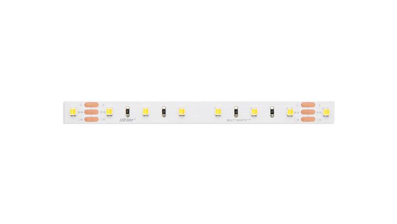Taśma LED line 300 SMD3528 24V multikolorowa 9,6W 5 lat gwar. 241819/5m/-58854