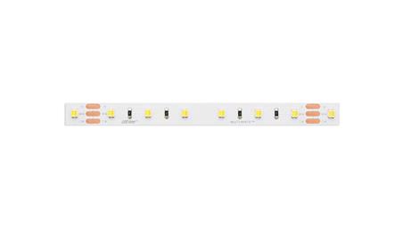 Taśma LED line 300 SMD3528 24V multikolorowa 9,6W 5 lat gwar. 241819/5m/-58854