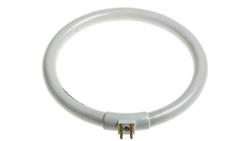 Świetlówki okrągłe, 12 W, 6500K, 135mm, kolor: Światło dzienne, RS PRO-45880