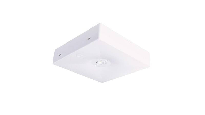 Intelight Oczko awaryjne N/T STARLET QUAD LED SO 150 SA 3H MT IP20 MANUAL TEST 3,5W białe 92814-57299