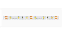 Taśma LED line 300 SMD3528 12V 6500K 4,8W 5 lat gwar. 249433/30m/-58911