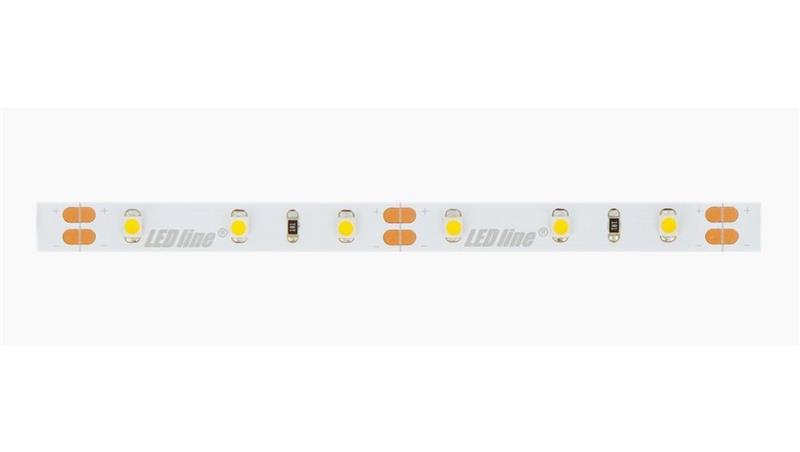 Taśma LED line 300 SMD3528 12V 6500K 4,8W 5 lat gwar. 249433/30m/-58911