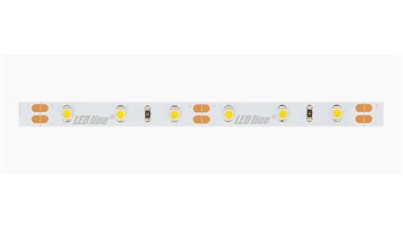 Taśma LED line 300 SMD3528 12V 6500K 4,8W 5 lat gwar. 249433/30m/-58911