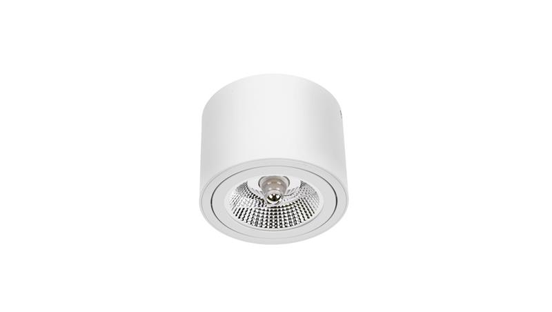 Chloe AR111 natynkowa GU10 250V IP20 139x100mm biały okrągła ruchoma-56273