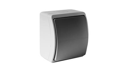 Łącznik pojedynczy natynkowy 10A IP44 popiel/grafit 151-08 DV 8189-31197