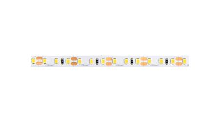 LED line Taśma 600 SMD 12V 4000K neutralna 9,6W 5 lat gwar. 5m-59199