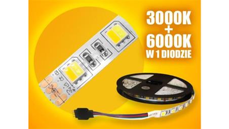 Taśma LED Basic 5050 WW+CW 5m/300diod-59285