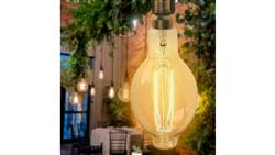 Żarówka Seligit ED118 60W E27 two sides Leaf BIG-46047