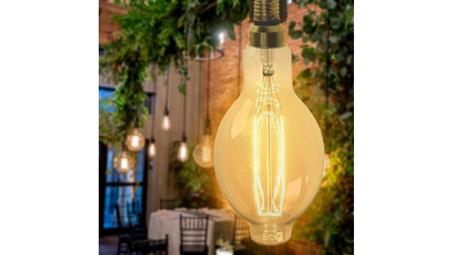 Żarówka Seligit ED118 60W E27 two sides Leaf BIG-46047