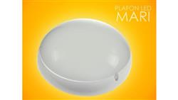 Plafon led Mari 24W 4000K IP65 czujnik MW-51943