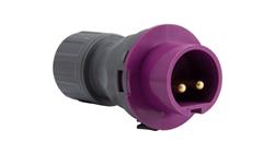 Wtyczka przenośna niskonapięciowa 16A 2p 24V IP44 /FE/-29238