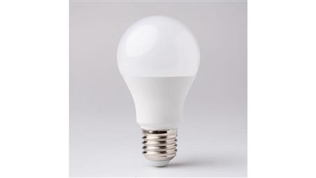 Żarówka Led E27 10W 24V 3000K 900lm-48008