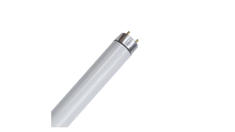 Świetlówka liniowa T8 18W/860 Bellight / 25 sztuk /-45808