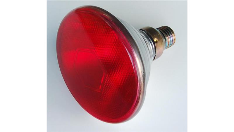 Promiennik podczerwieni rubinowy PAR E27 100W 230V szkło twarde PRASOWANE 5000h PRO-0020-46183