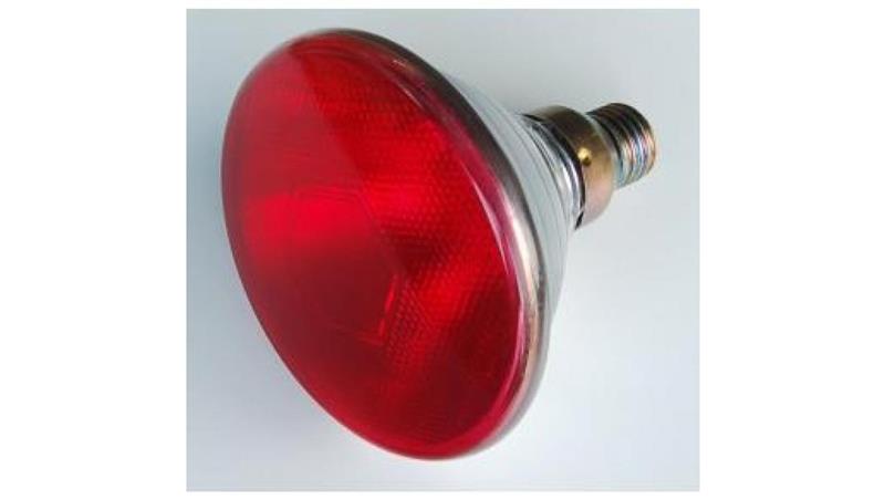 Promiennik podczerwieni rubinowy PAR E27 175W 230V szkło twarde PRASOWANE 5000h PRO-2186-46178 Promiennik podczerwieni rubinowy PAR E27 175W 230V szkło twarde PRASOWANE 5000h PRO-2186-46178