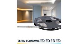 Taśma 12V 5m 600 led 48W CCT SMD2835 Tunable White-59342