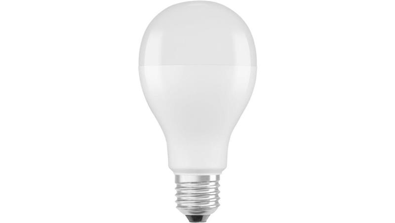 Żarówka LED E27 19W 4000K 2451lm EKZOS251-49131