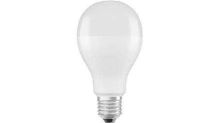 Żarówka LED E27 19W 4000K 2451lm EKZOS251-49131