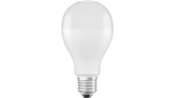 Żarówka LED E27 19W 6500K 2451lm EKZOS275-49125