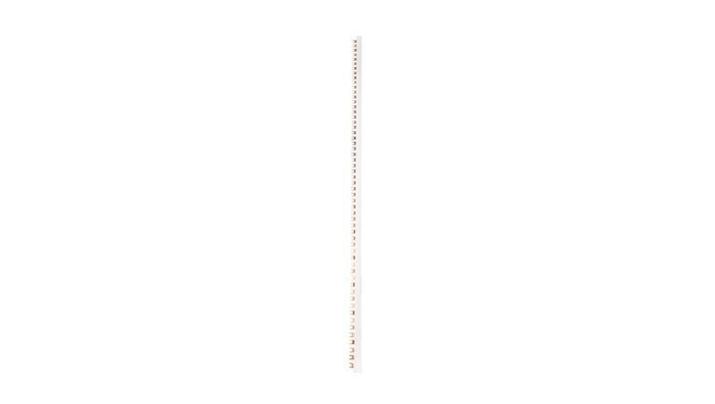 Szyna łączeniowa widełkowa 4P 100A 16mm2 (56 mod.) IZ16/4F/56 002921070-26477