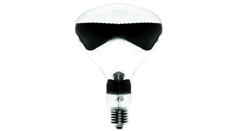 Promiennik podczerwieni E27 375W R125 IR 230-250V CL 1CT 8711500126597-46174