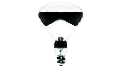 Promiennik podczerwieni E27 375W R125 IR 230-250V CL 1CT 8711500126597-46174