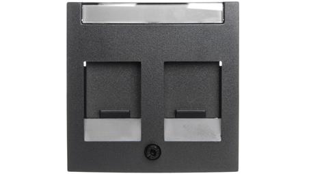 Berker B.1/B.3/B.7 Glas Element centralny podwójny z zasuwami chroniącymi przed kurzem z polem opisowym antracyt 11811606-42117