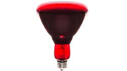 Promiennik podczerwieni E27 250W R-123 PRO-2109-46175