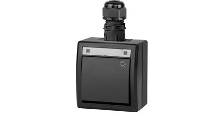 AQUANT 2K łącznik natynkowy zwierny światło IP65 antracytowy 5004-67-85926