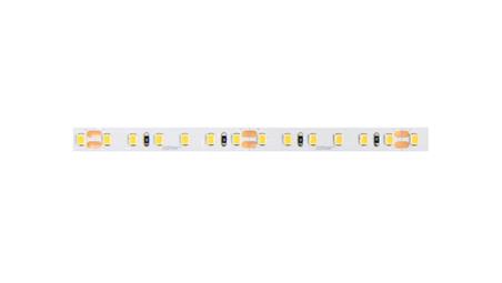 LED line Taśma 600 SMD 24V 4000K neuralna 9,6W 5 lat gwar. /30m/-141864