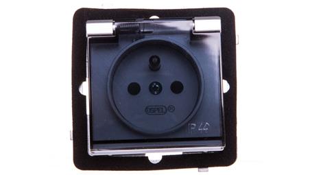 SONATA Gniazdo bryzgoszczelne z/u IP44 z przesłonami klapka przezroczysta srebro mat GPH-1RZP/m/38/d-43457